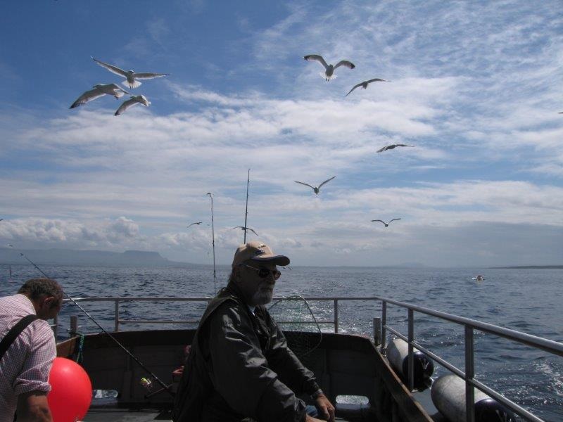 Sea fishing birds